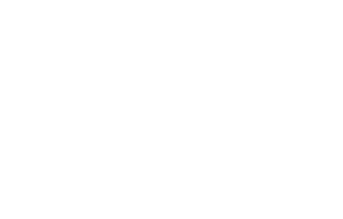 Armando Tours 