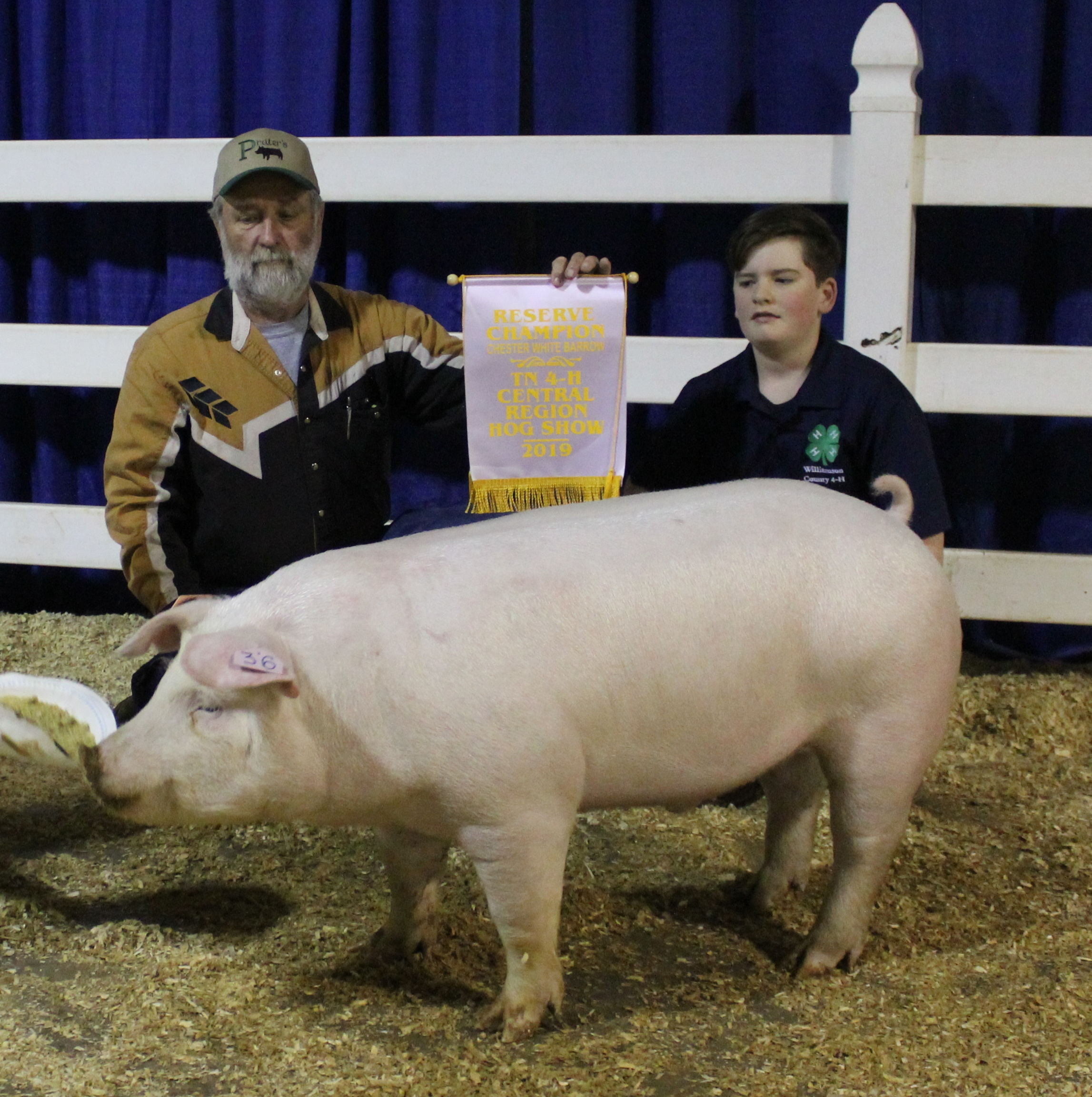 Gavin Page
2019 TN Central Region Show
Reserve Champion Chester White Barrow