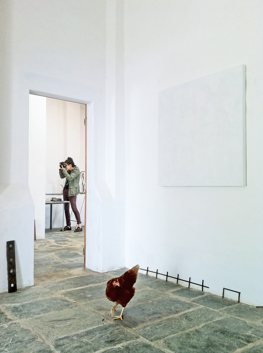 A white space with minimalist art and objects, a photographer and a chicken.