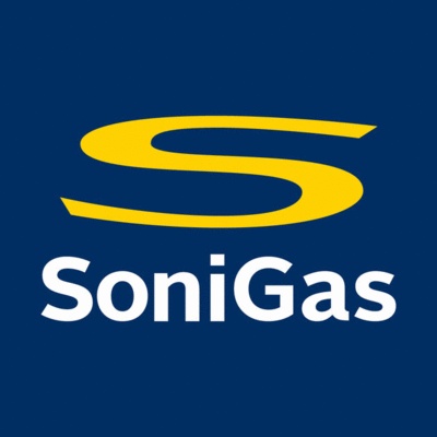 Grupo SONI - Sonigas SA de CV 