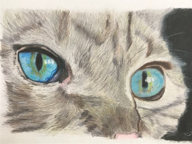 Cat Eye Study II