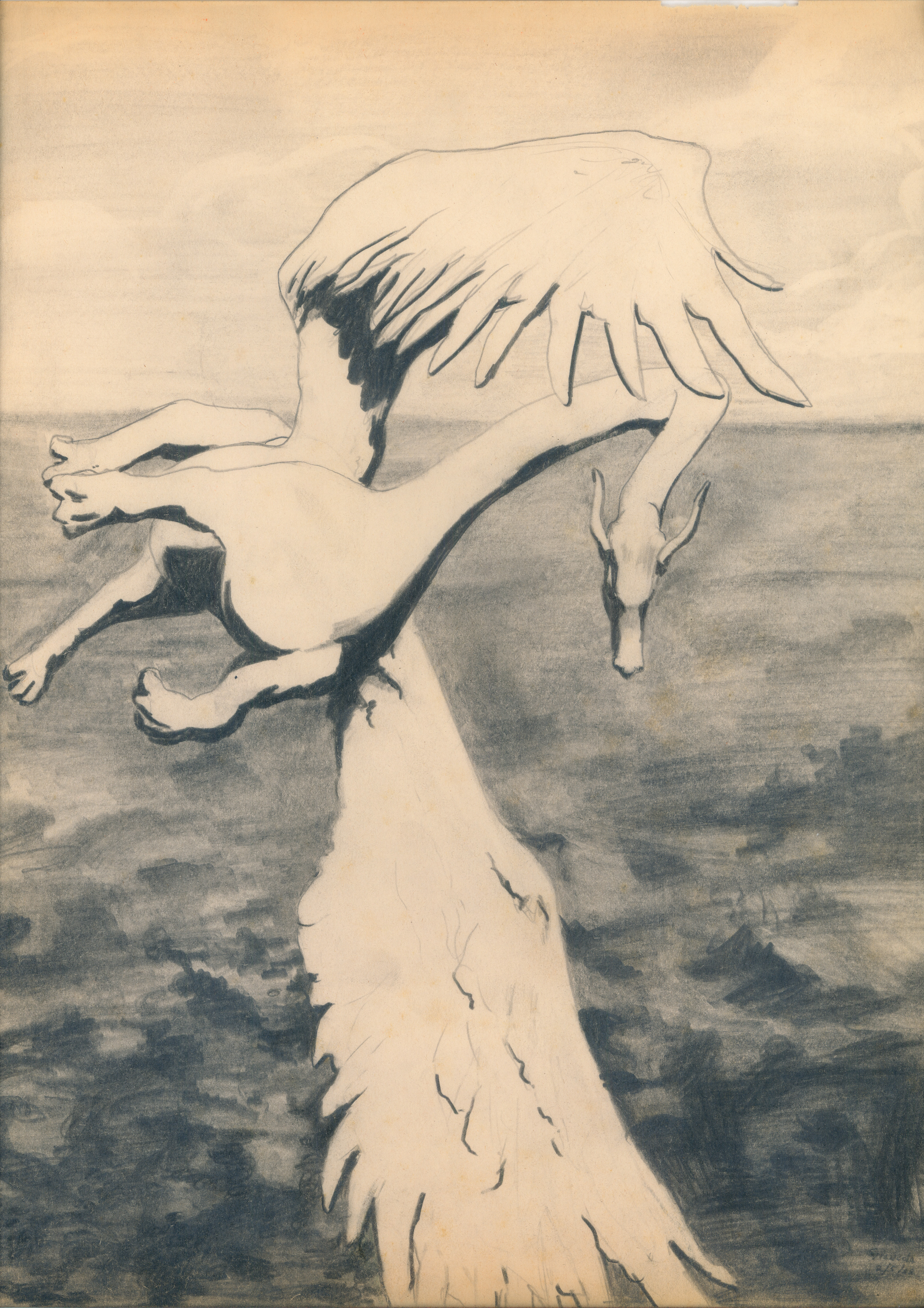 Dragon
$200
24"x18" graphite on Paper
1988