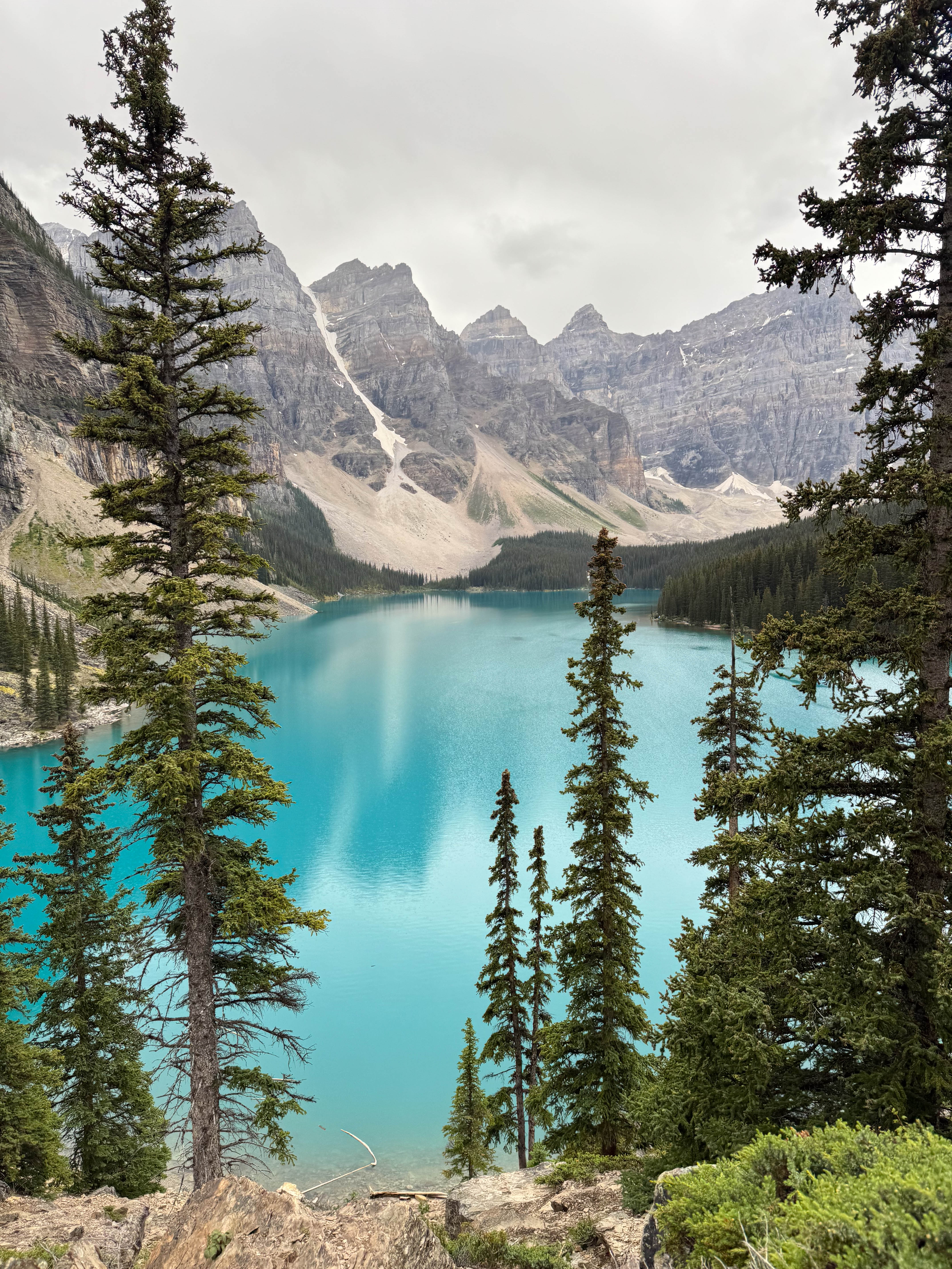 https://0201.nccdn.net/1_2/000/000/126/b06/calgary-order-102.jpg