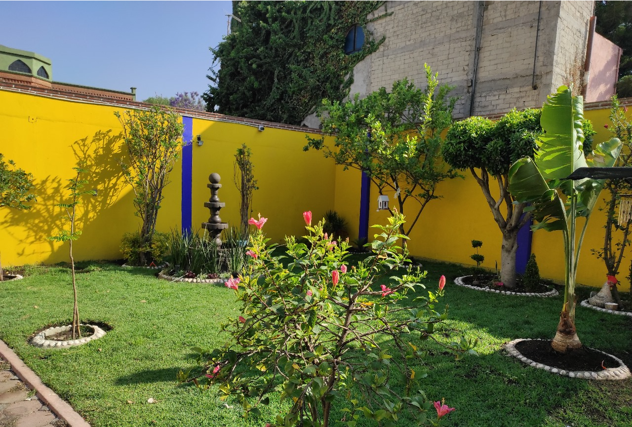 Jardín con riego automatizado