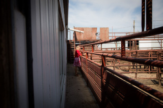 Dunlap Livestock Auction Inc Home