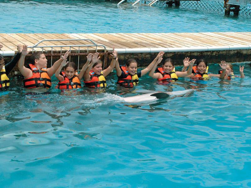 DA UNAS INSTRUCIONES CON SEÑAS Y TE ENTENDERAN ¡¡¡