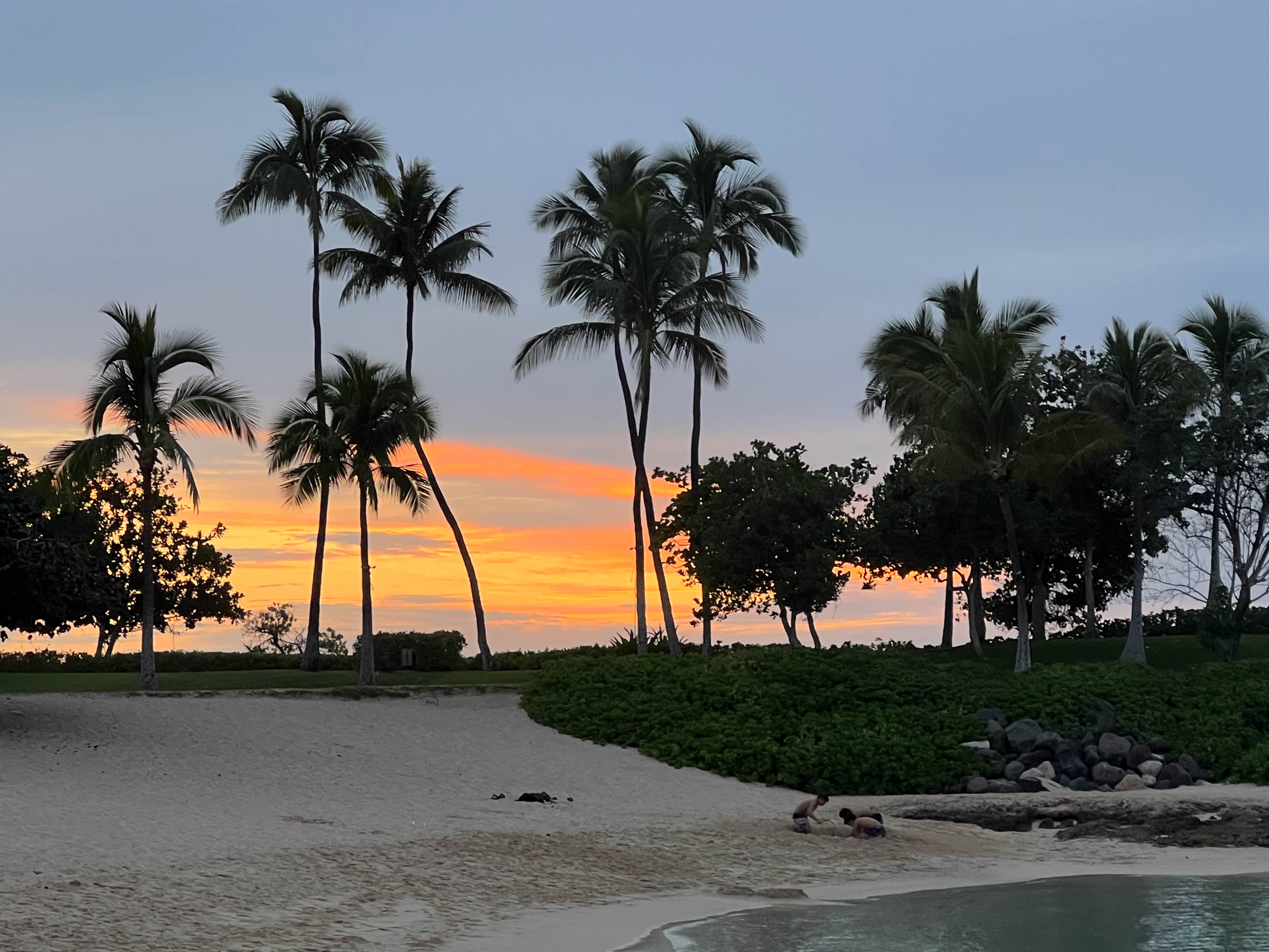 https://0201.nccdn.net/1_2/000/000/127/96e/hawaii-order-162.jpg