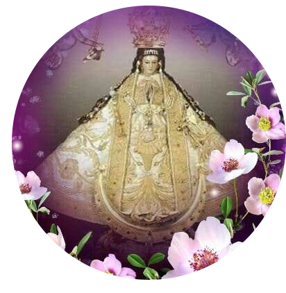 "Es un buen equipo de trabajo con ejecutivos altamente capacitados para cualquier negocio o promotor empresarial."

Tony Frag 