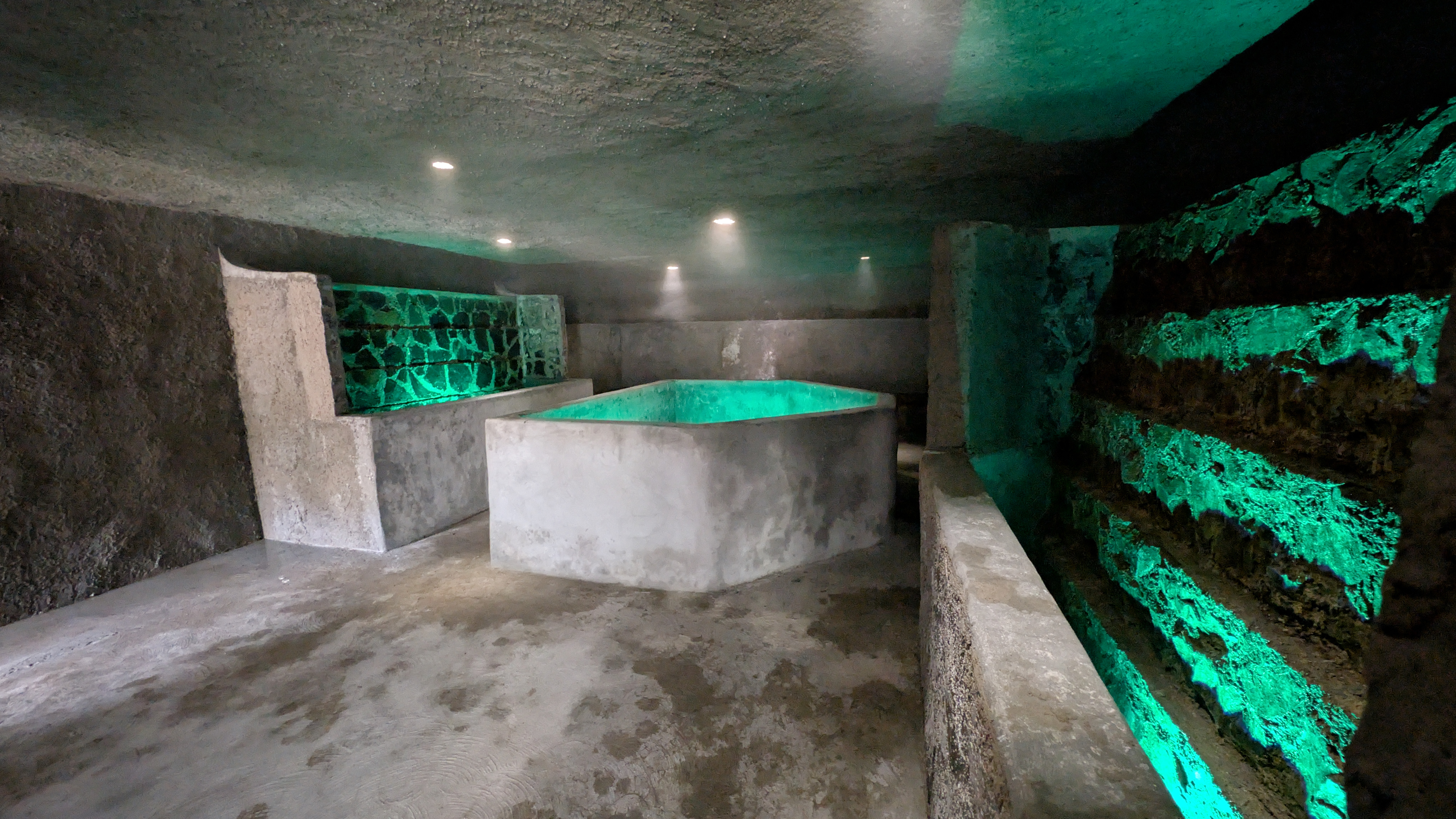 Piscina interior circular con agua burbujeante, rodeada de ventanales que muestran un bosque, plantas en macetas y sillones modernos.