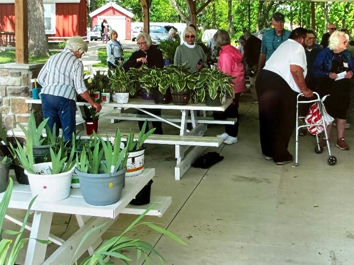 https://0201.nccdn.net/1_2/000/000/127/de1/plant-sale-23-2-2.jpg