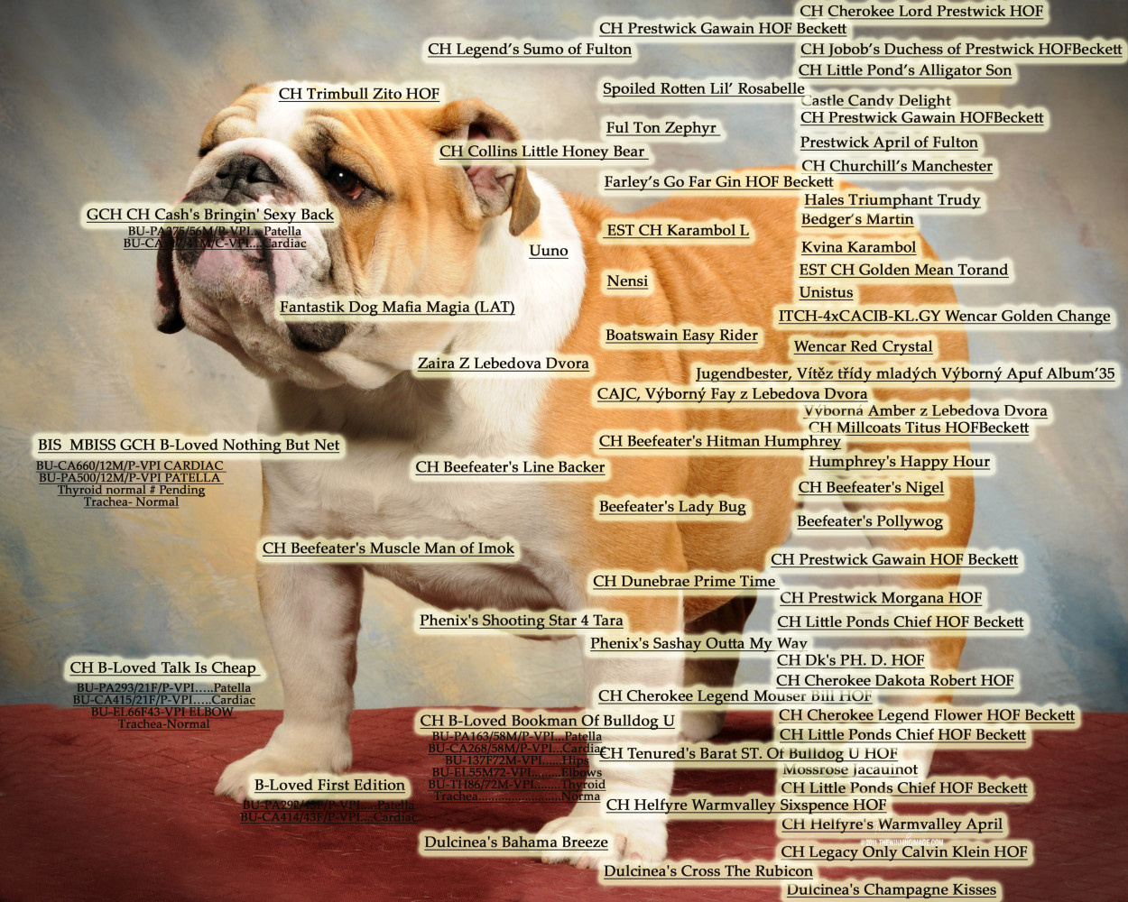Pedigree