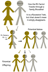 Learn more about the Rh-Neagtive Recessive Factor