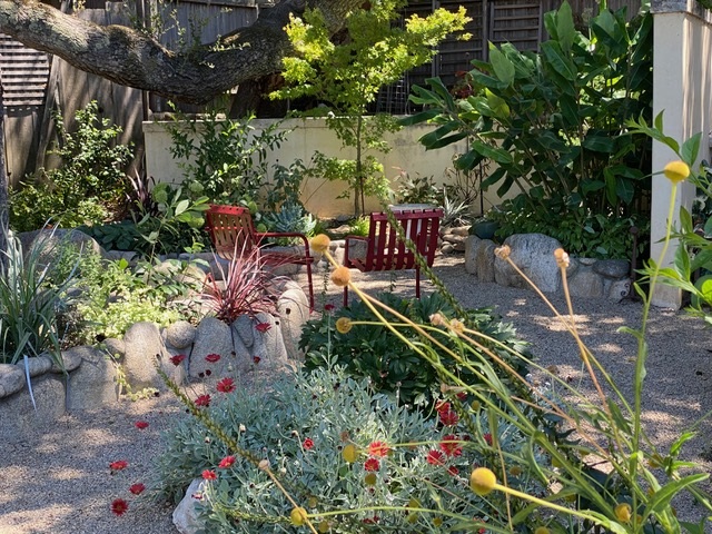 Lesley’s Own Garden 1