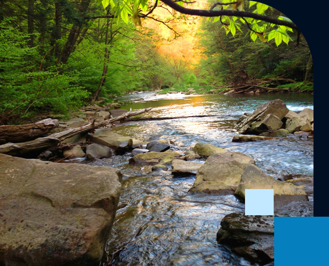 Mountain Trout Stream in Pennsylvania