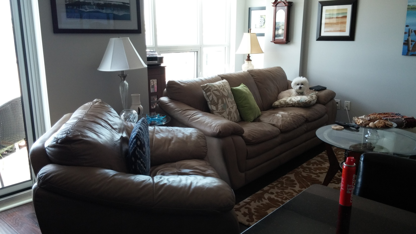 Waterfront Living Room