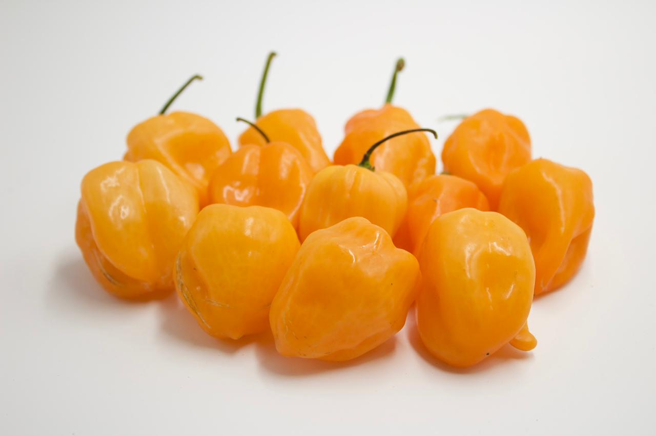 CHILE HABANERO
