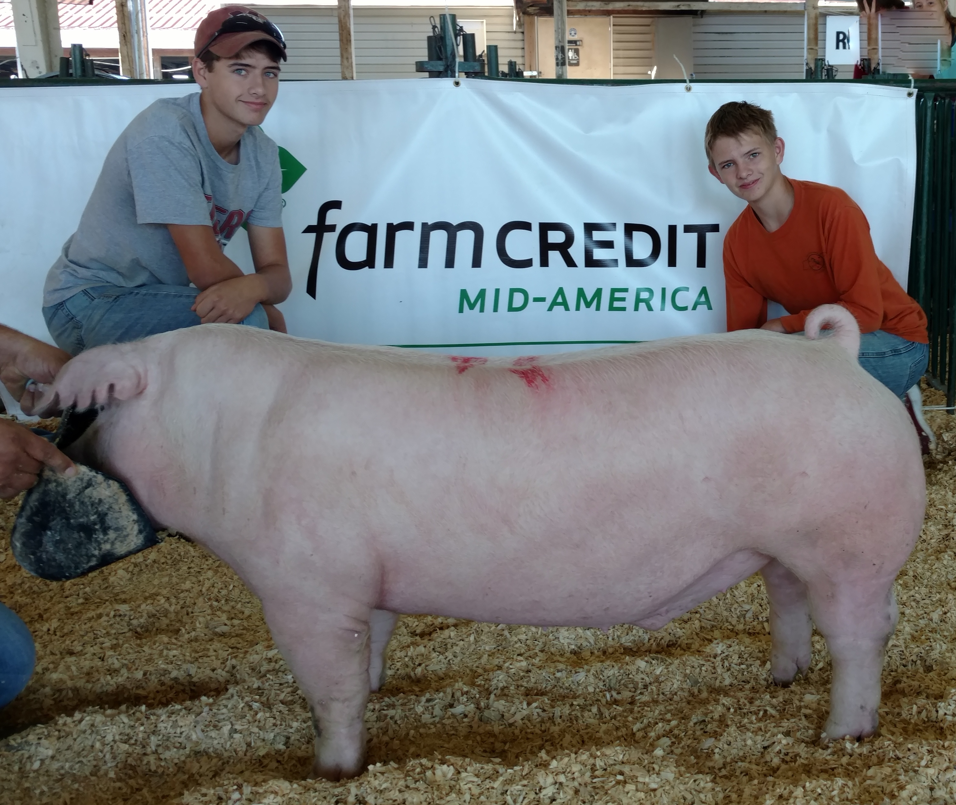 Will and Gill Derryberry
2016 Tennessee State Fair
Champion Chester White Barrow