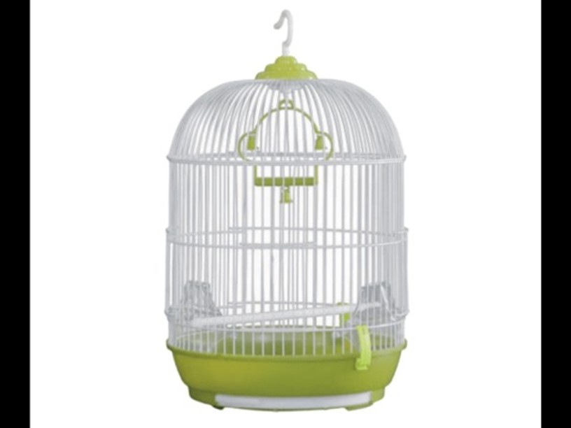 SP-2823 JAULA AVES AVI BOX 
IMPORTADA TIPO CILINDRO 
MONTE VERDE 33X56