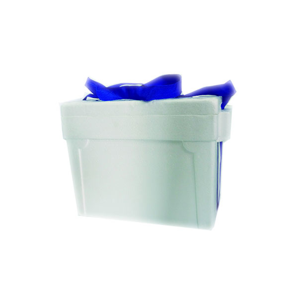 Nevera Icopor 12 Lts