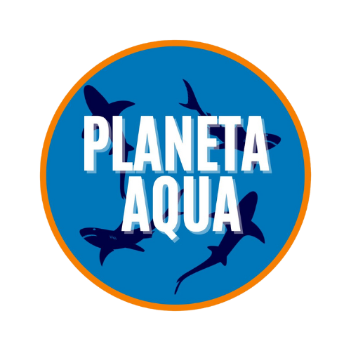 https://0201.nccdn.net/1_2/000/000/129/cea/planeta-aqua.png