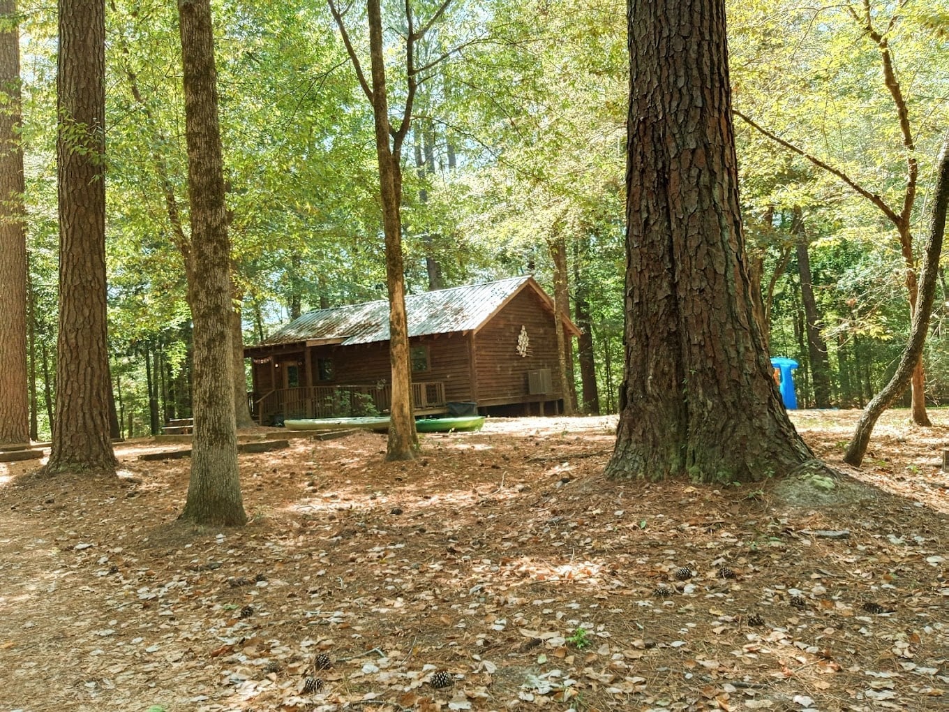 Rustic wooden cabin in a forest setting surrounded by tall trees and scattered leaves on the ground.