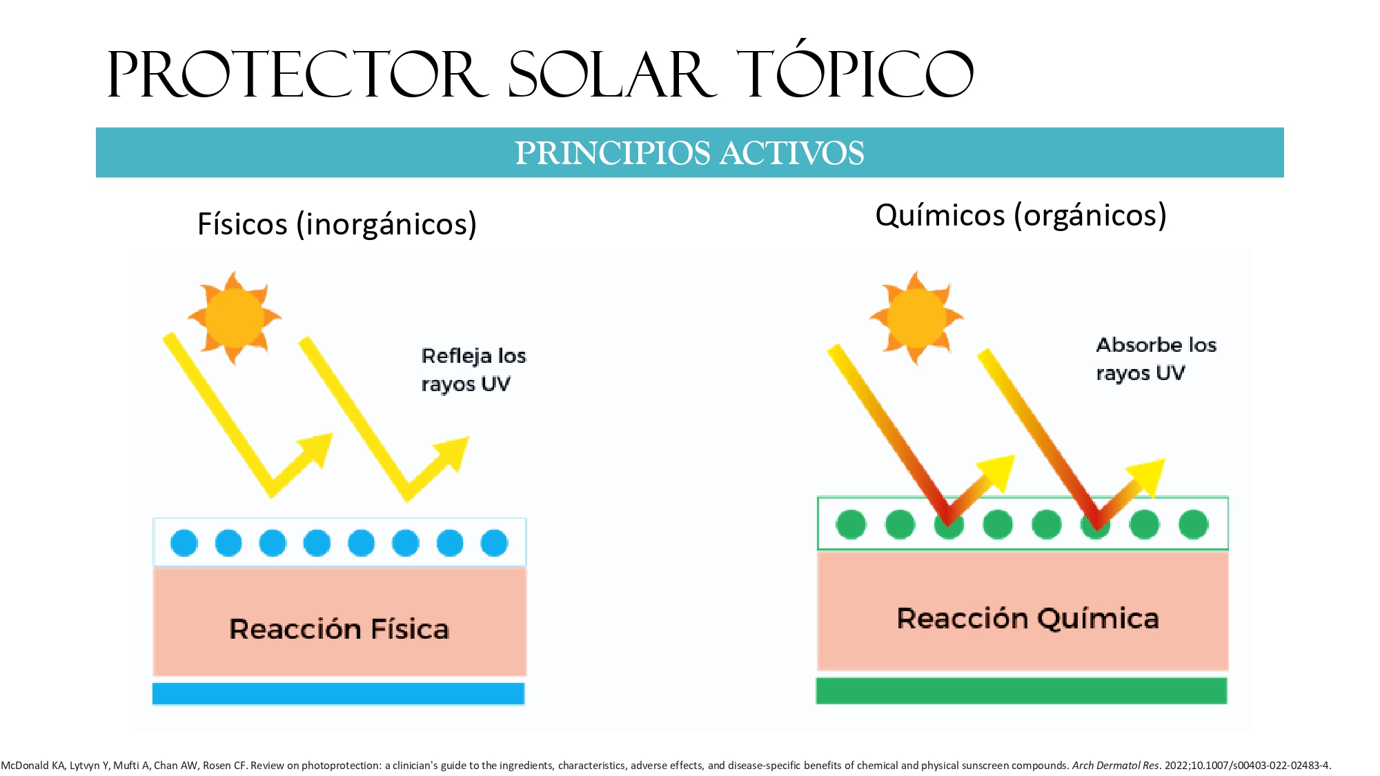https://0201.nccdn.net/1_2/000/000/129/d45/pl%C3%A1tica-s.m.-sol-y-piel_page-0023.jpg