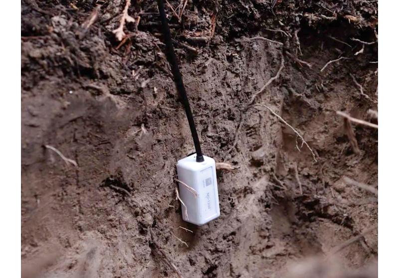 Datalogger HOBO MX2306