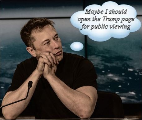 https://0201.nccdn.net/1_2/000/000/12a/474/elon5.jpg