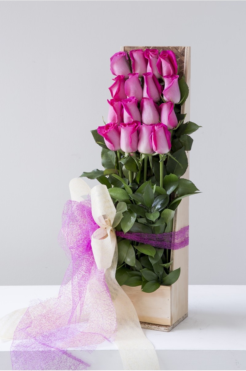 San Valentin 062
$ 1690.00 pesos