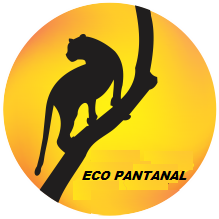 Eco Pantanal Norte Turismo