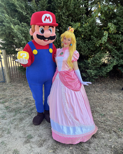 Video Game Hero and Princess