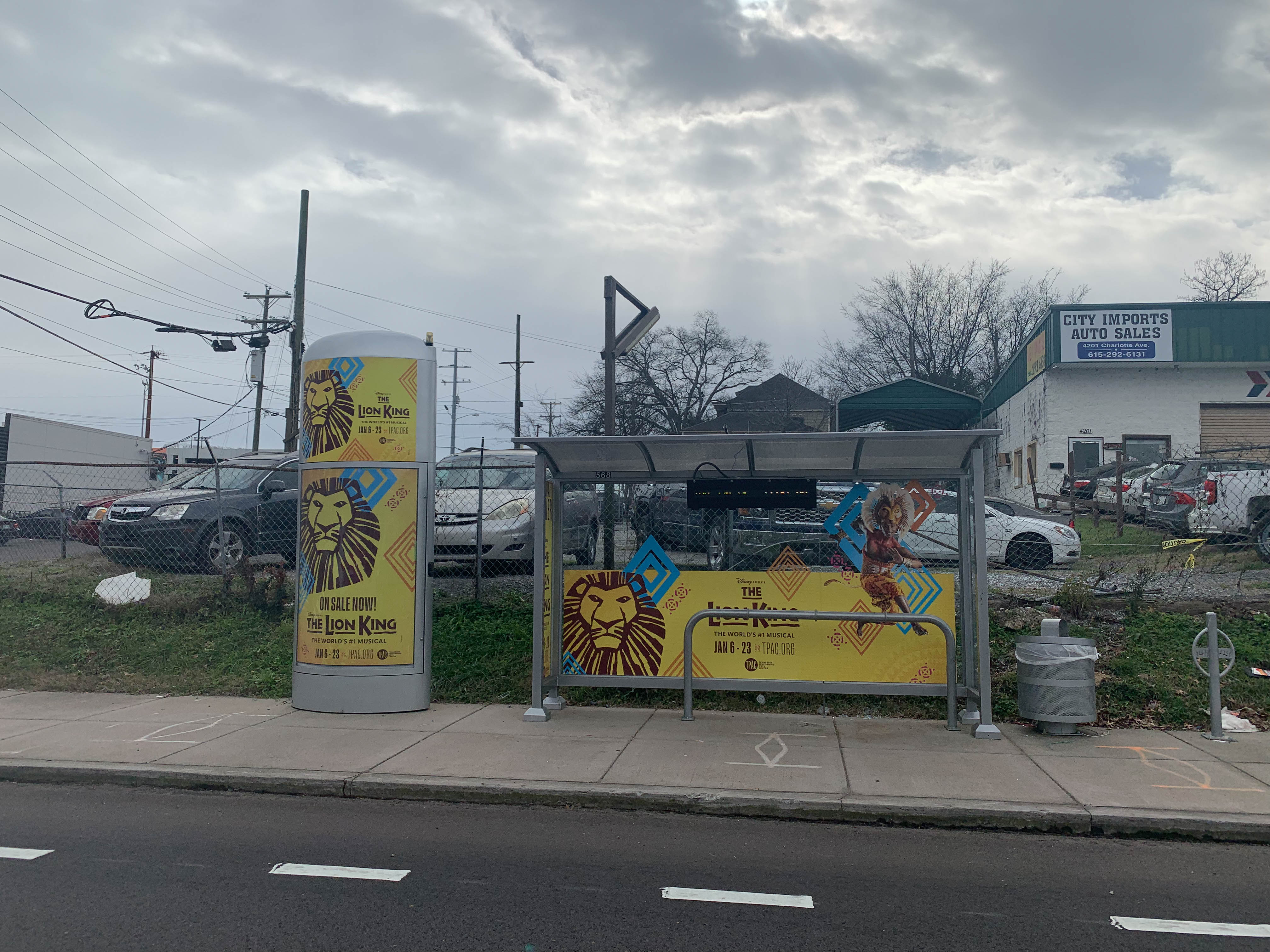 Lion King signs are everywhere