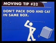moving tip: don't pack dog and cat in same box moving tip: don't pack dog and cat in same box