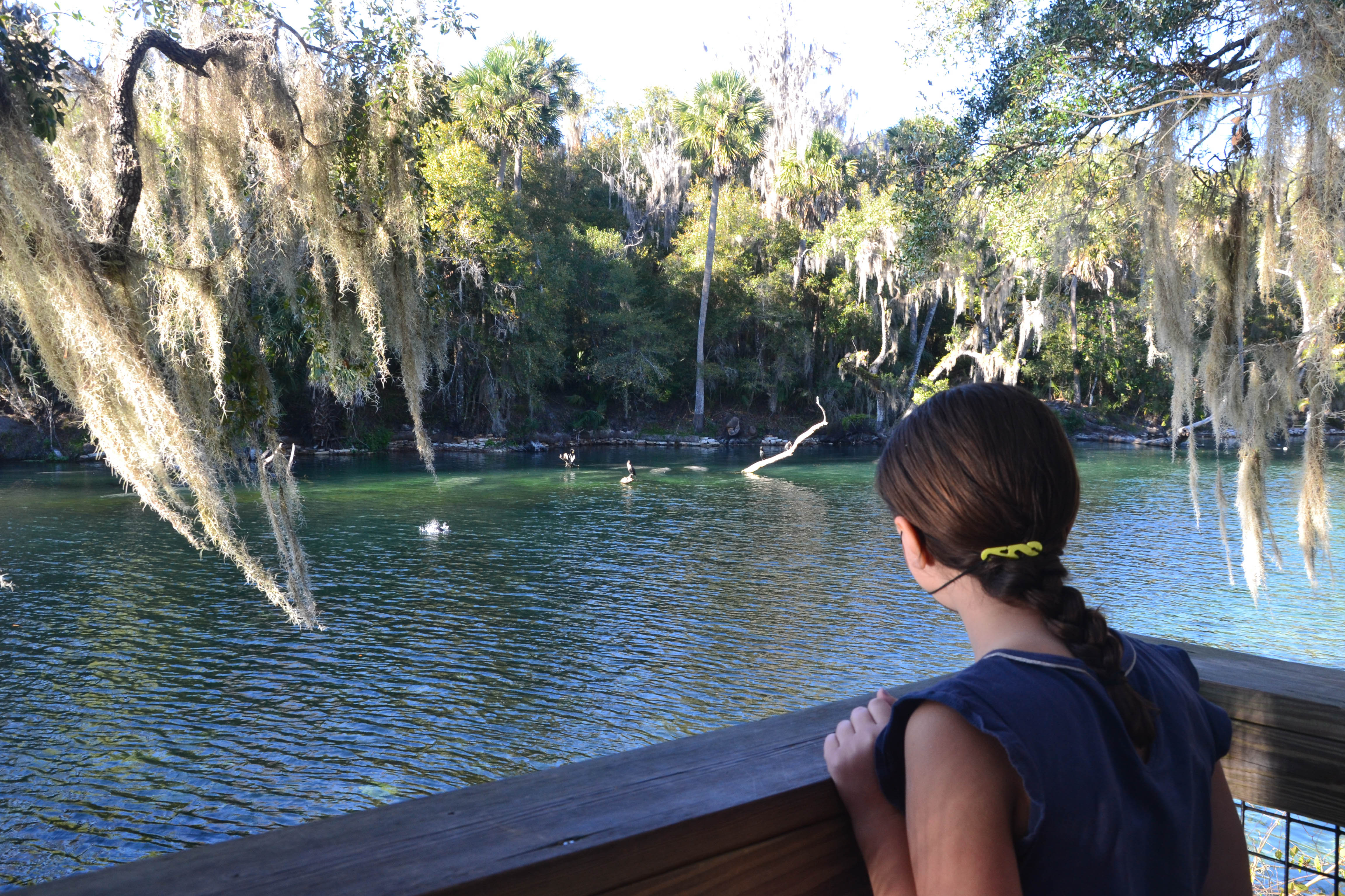 Blue Springs State Park