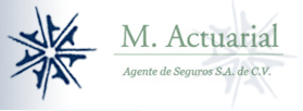 M. ACTUARIAL AGENTE DE SEGUROS S.A. DE C.V.