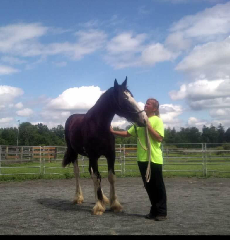 Teddy: Starting Kindergarten!