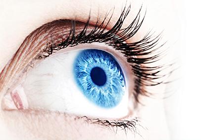 https://0201.nccdn.net/1_2/000/000/12c/667/optica6.jpg