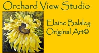 Orchard View Studio