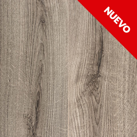 OAK TREND