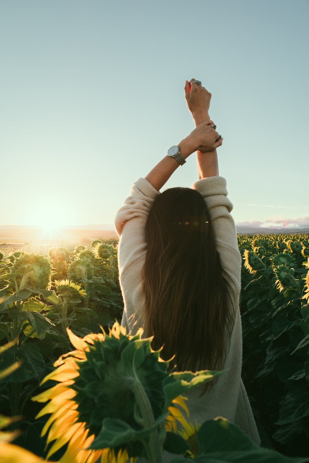 Woman in a Sunflower Field