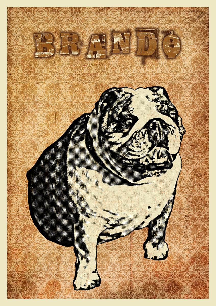 https://0201.nccdn.net/1_2/000/000/12d/626/lex-dog-2b-847x1200.jpg