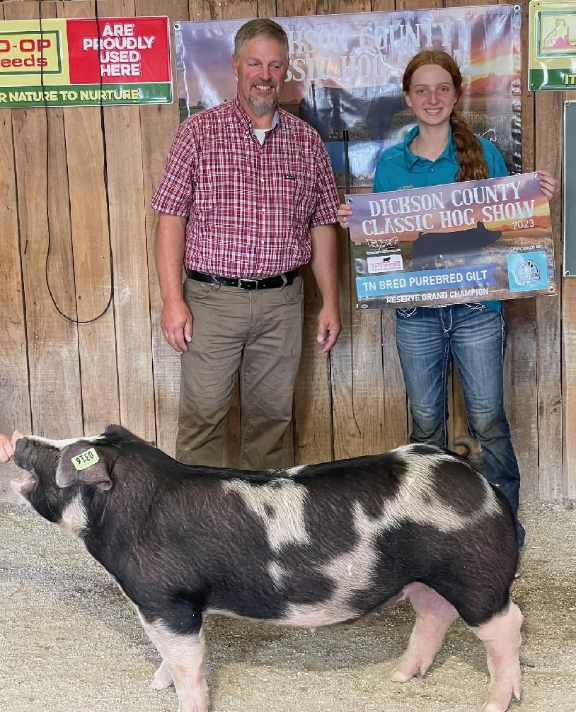 Jacey Bowers
Dickson County Classic
Champion Spot Gilt
4th Overall (Open Show)
Reserve Champion TN Bred Purebred Gilt