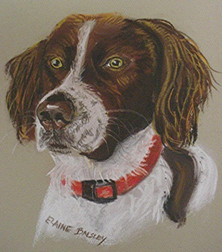 Charley, Pastel on Paper, Framed