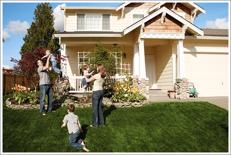 Residential pest control||||