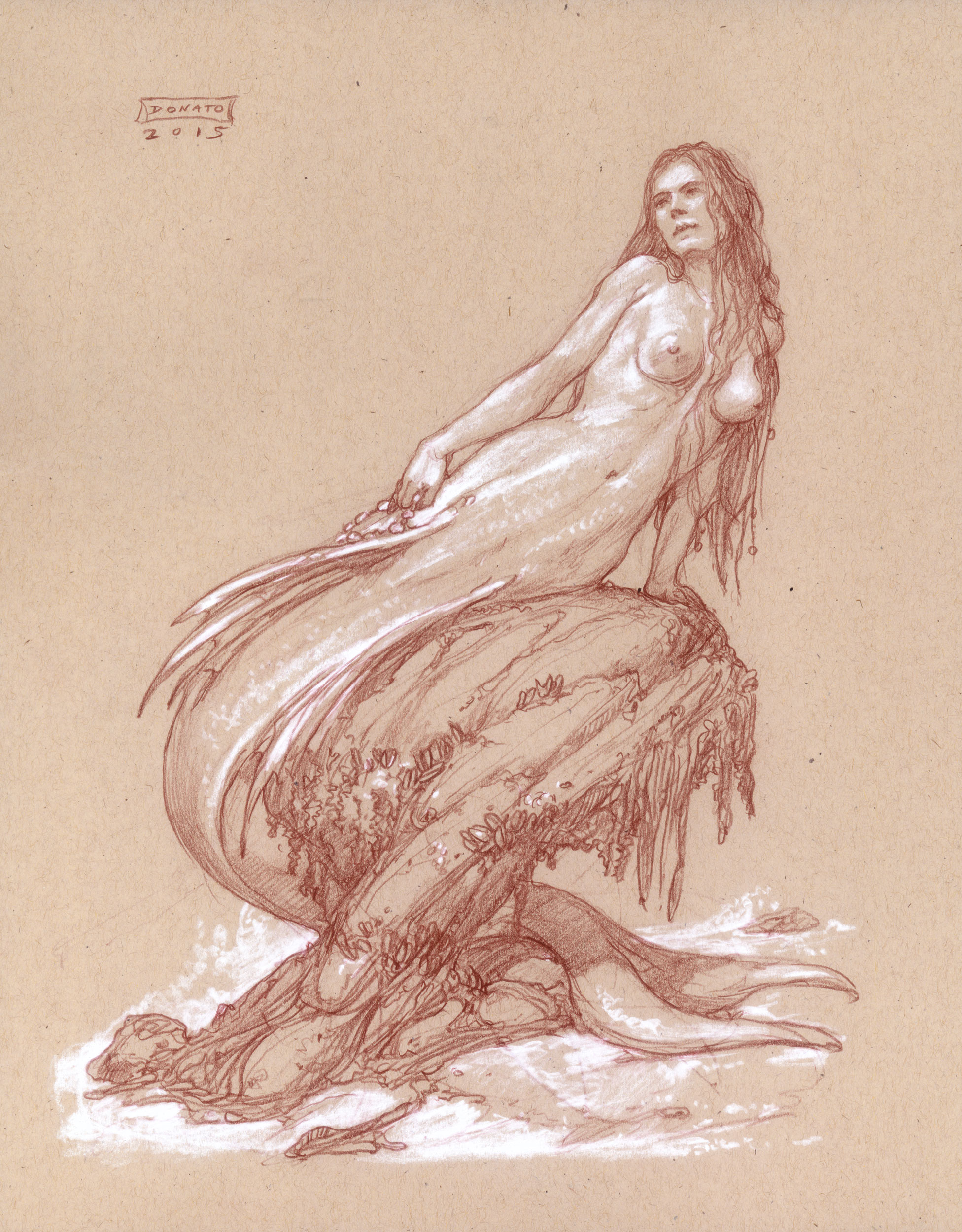 Mermaid - Treasure Seeker
14" x 11" watercolor pencil and chalk  on toned paper 2015
original available in website store