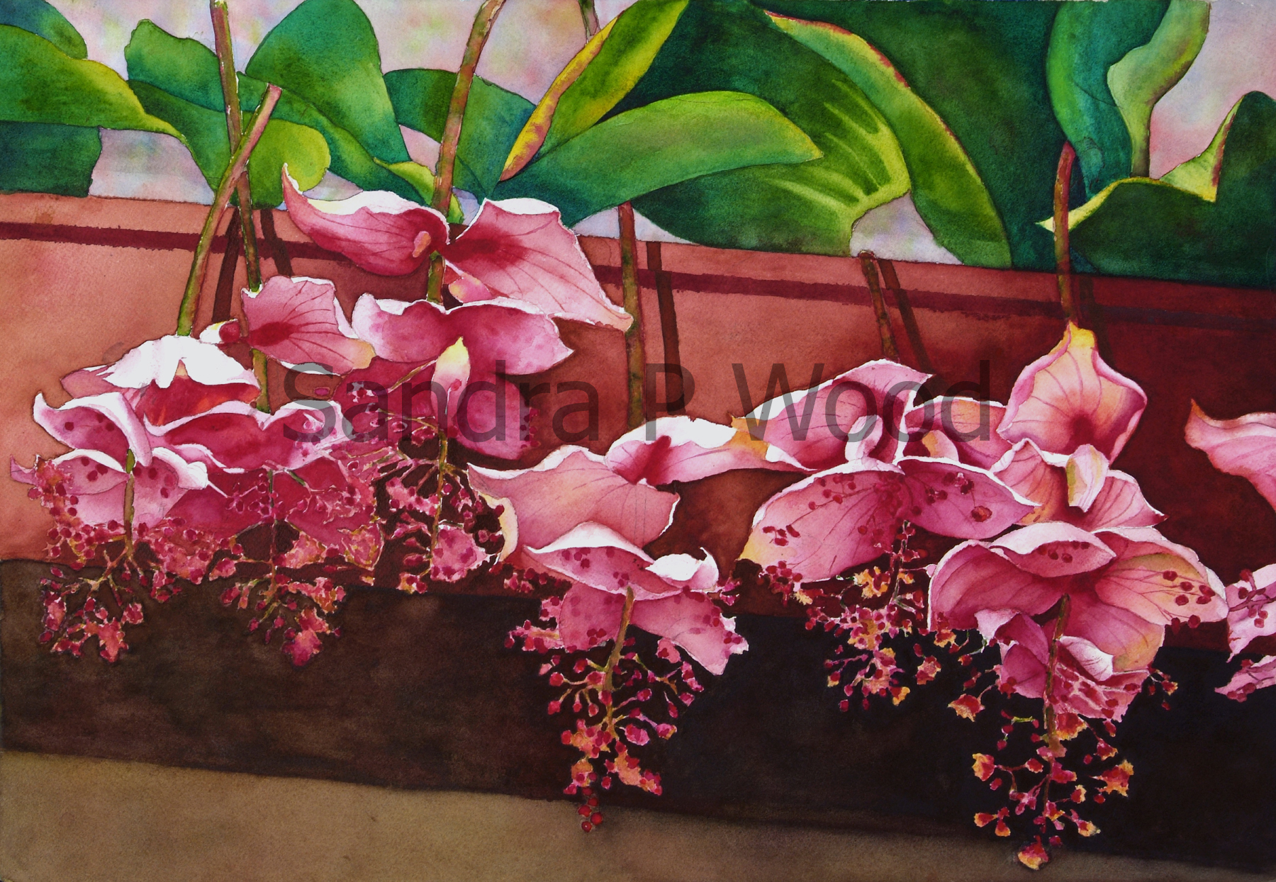 PRETTY IN PINK
(watercolor)

