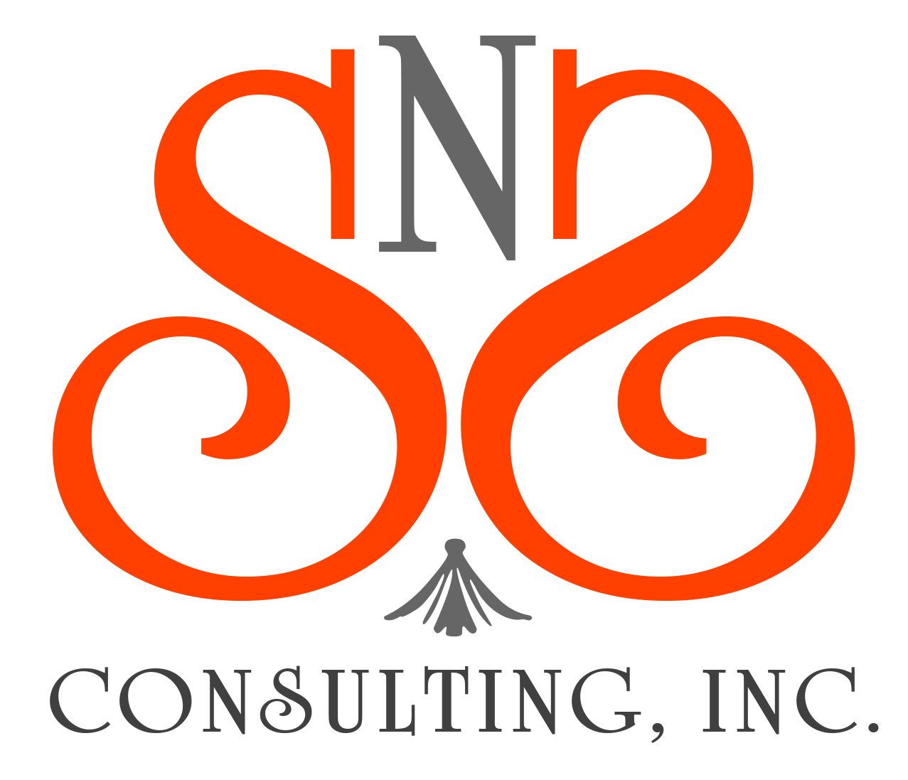 SNS CONSULTING INC
