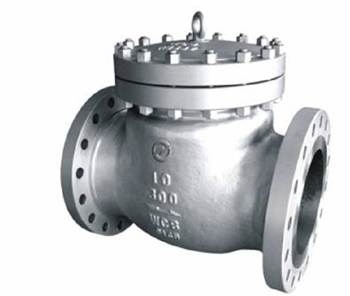 https://0201.nccdn.net/1_2/000/000/12e/d8d/Swing_Check_Valves-709x600.jpg