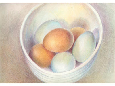 Brown Burfords and Old Cotswold Legbars (Coloured Pencil on HP) 210mm x297mm