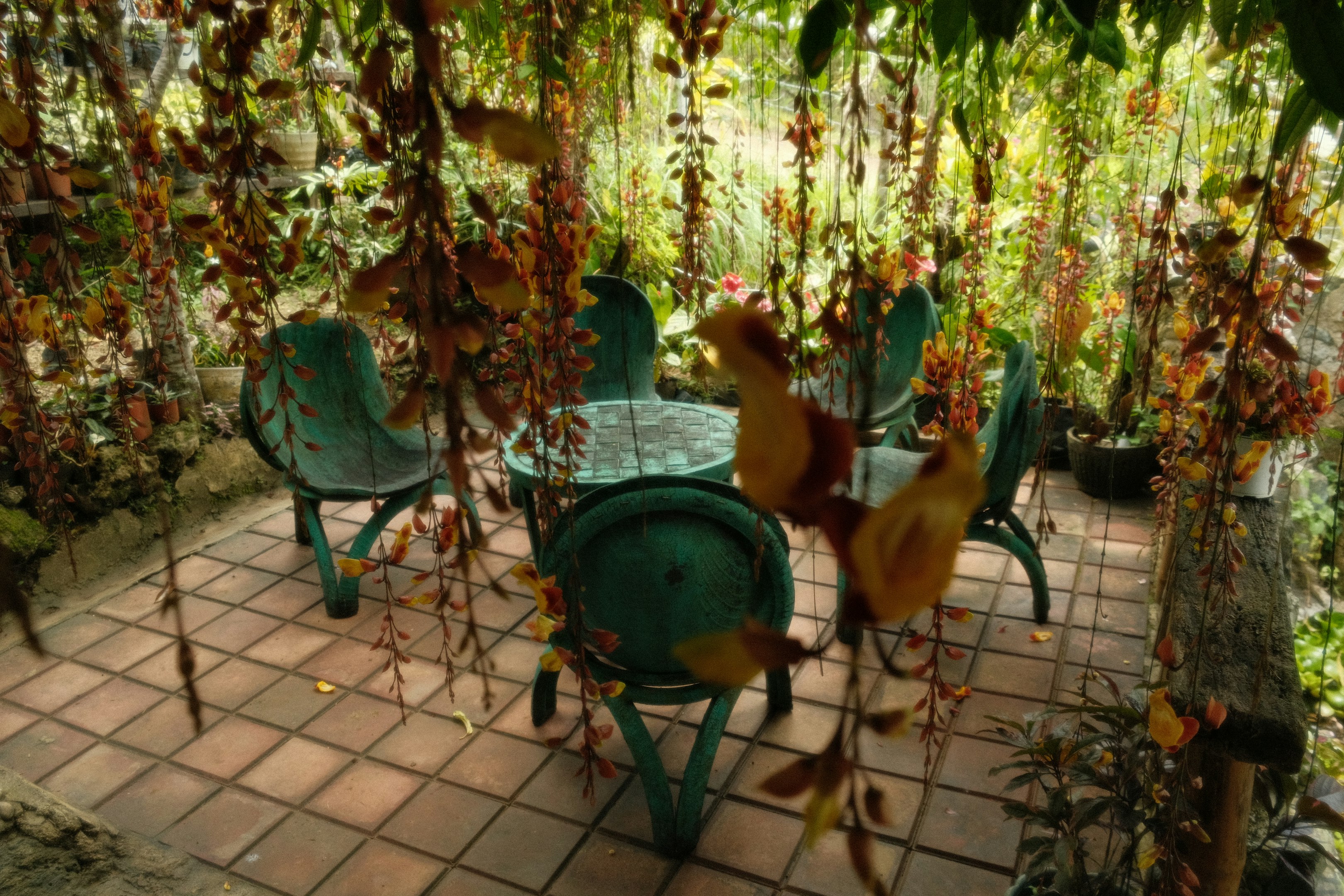 Outdoor patio with chairs and table under vines